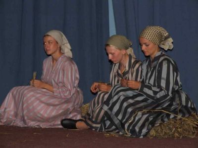 Kolonija slamarki 2009